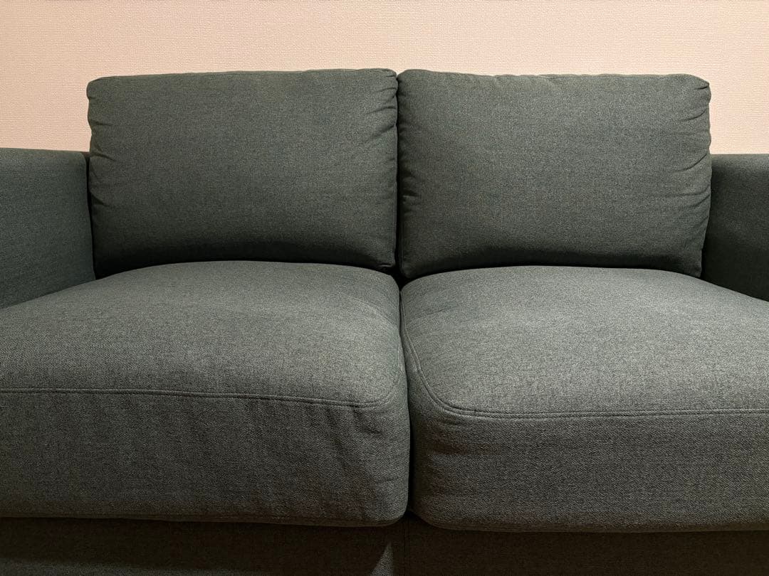 傷汚れに強い2人掛けソファ　布張りタイプ (CS01 Nシールド H-DGR)