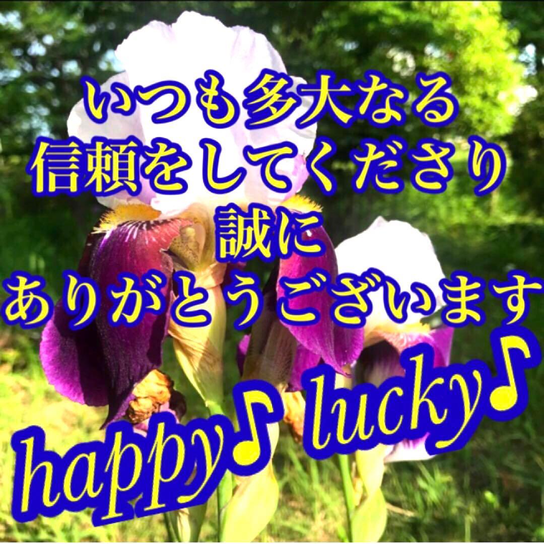 秘符(じーだん)病　病気　精神　鼻　鼻の病　治癒　治病　護符　霊符　お守り