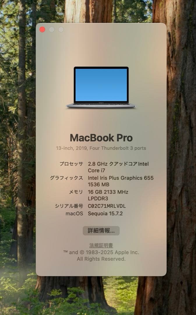 Apple MacBook Pro 13インチ 2019 i7/16GB/250