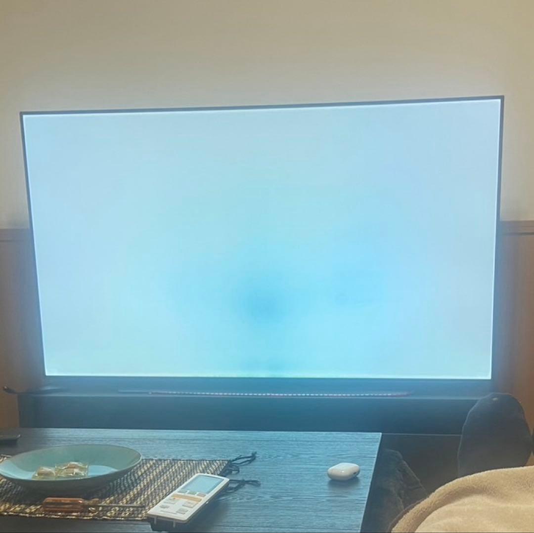 ◇LG OLED65C9PJA 65インチ テレビ◇