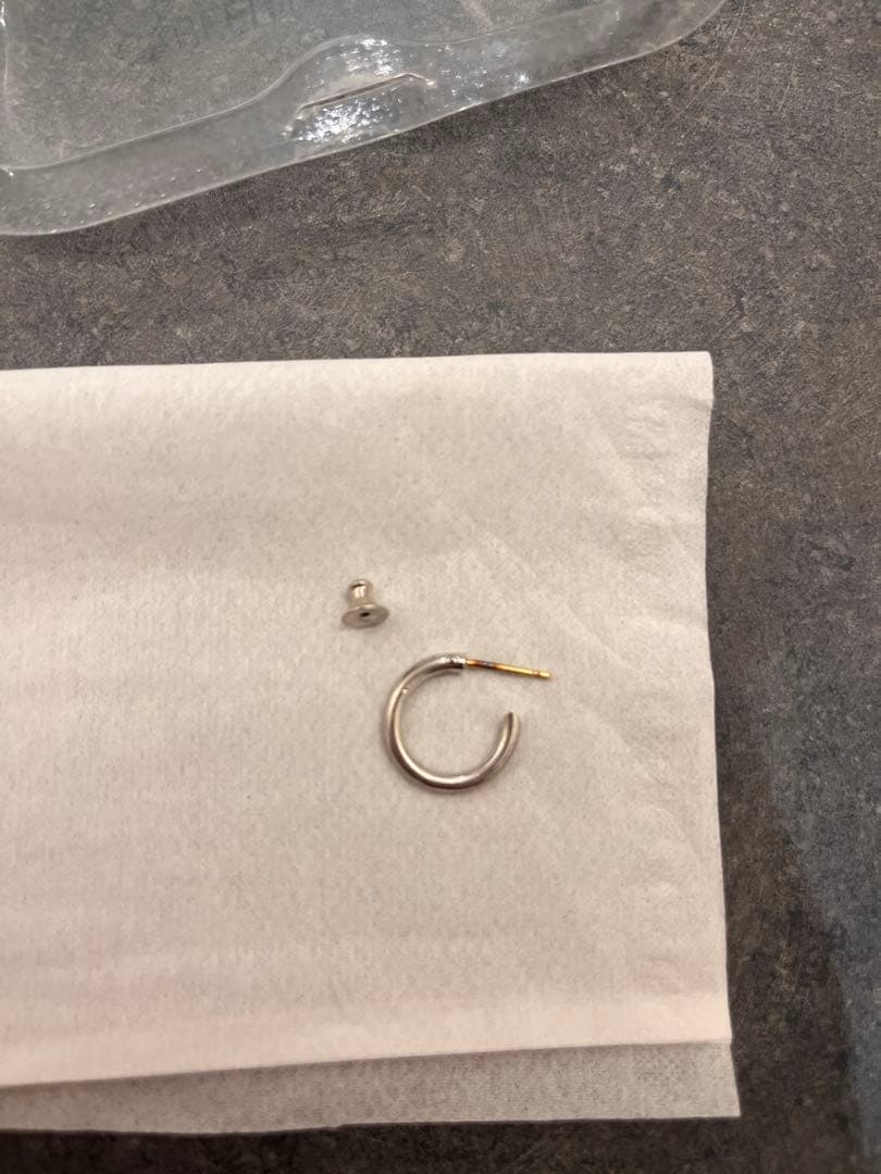 CAREERING 301 PLACEBO シルバー 両耳