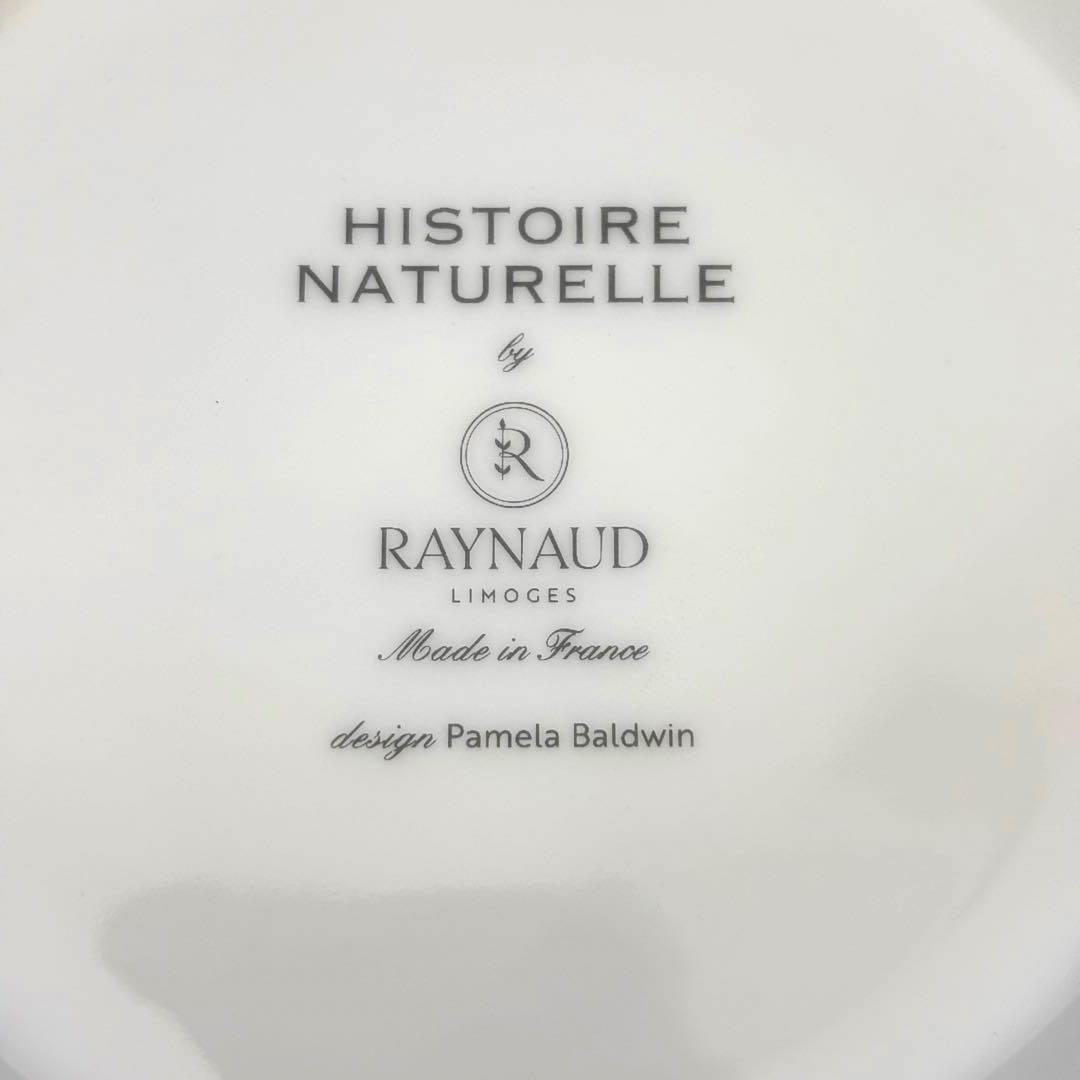 【希少 未使用】レイノー ヒストリー ナチュール 食器セット カップ&ソーサー