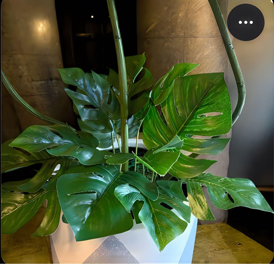 光触媒　人工観葉植物　ウォールグリーン　フェイクグリーン　バリ風特大モンステラ8