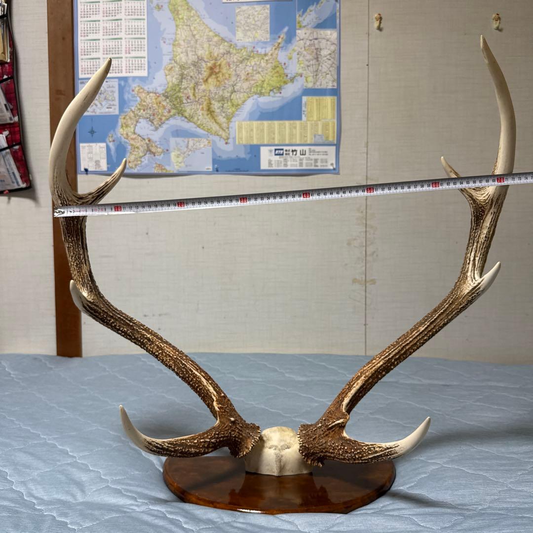 鹿の角 インテリアオブジェ 約70cm