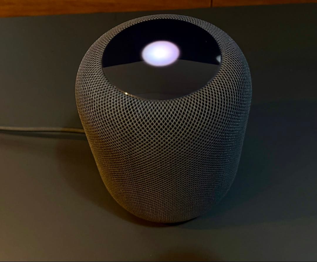 Apple Pod 第一世代 ブラック 本体のみ