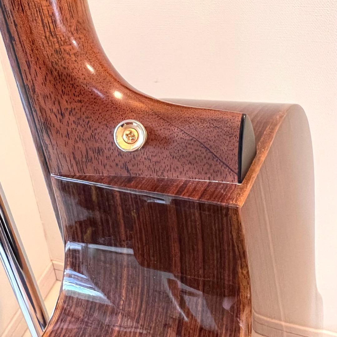 【希少品】縦ロゴ Martin GPCPA1 Plus エレアコ