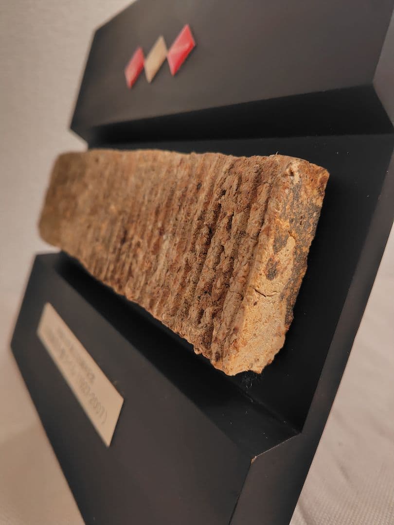 早稲田大学　大隈記念講堂　外壁タイル　1927年建設