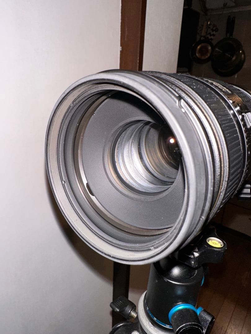 Nikon AF VR Nikkor 80-400mm F4.5-5.6D動作◎