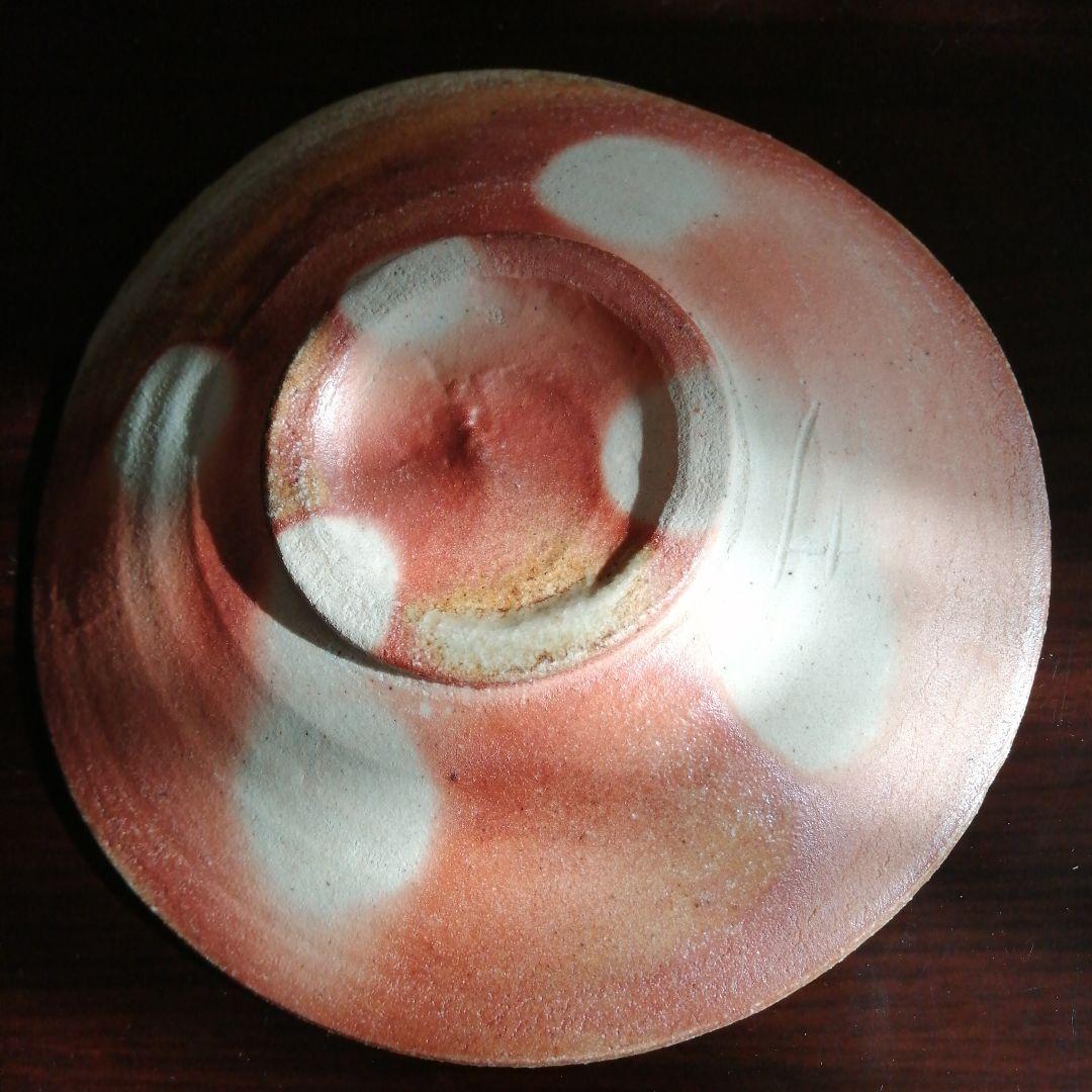 信楽焼　杉本貞光　寺垣外窯　信楽薄手皿　17cm　【1枚割れアリ】