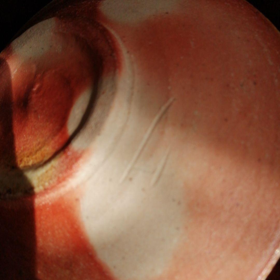 信楽焼　杉本貞光　寺垣外窯　信楽薄手皿　17cm　【1枚割れアリ】