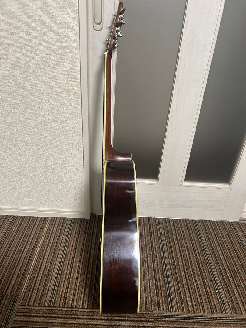 Morris アコースティックギター W-30