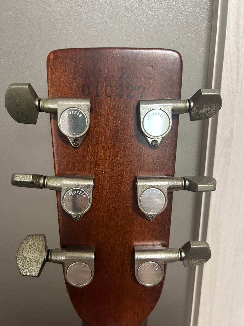 Morris アコースティックギター W-30