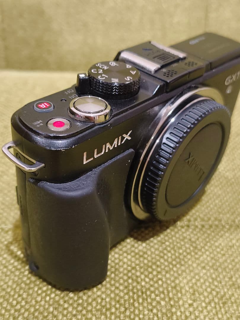 LUMIX GX1 ミラーレスカメラ