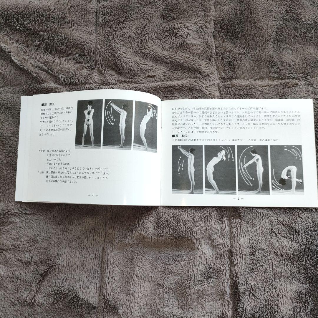 美坂式軽量振動運動法 バランスボール 鉄球 3㎏ ジャパンターナー　取説付き!!