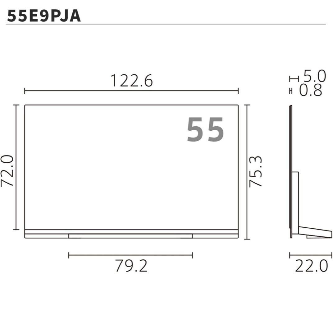 LG OLEDテレビ 55インチ OLED55E9PJA