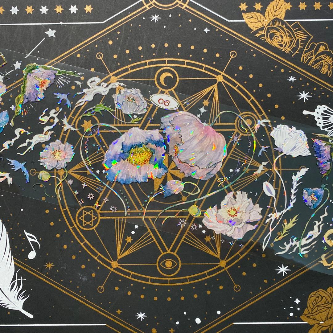 【9223】海外　マステ　中古巻　貝殻光マスキングテープ　お花系　ヒナゲシ