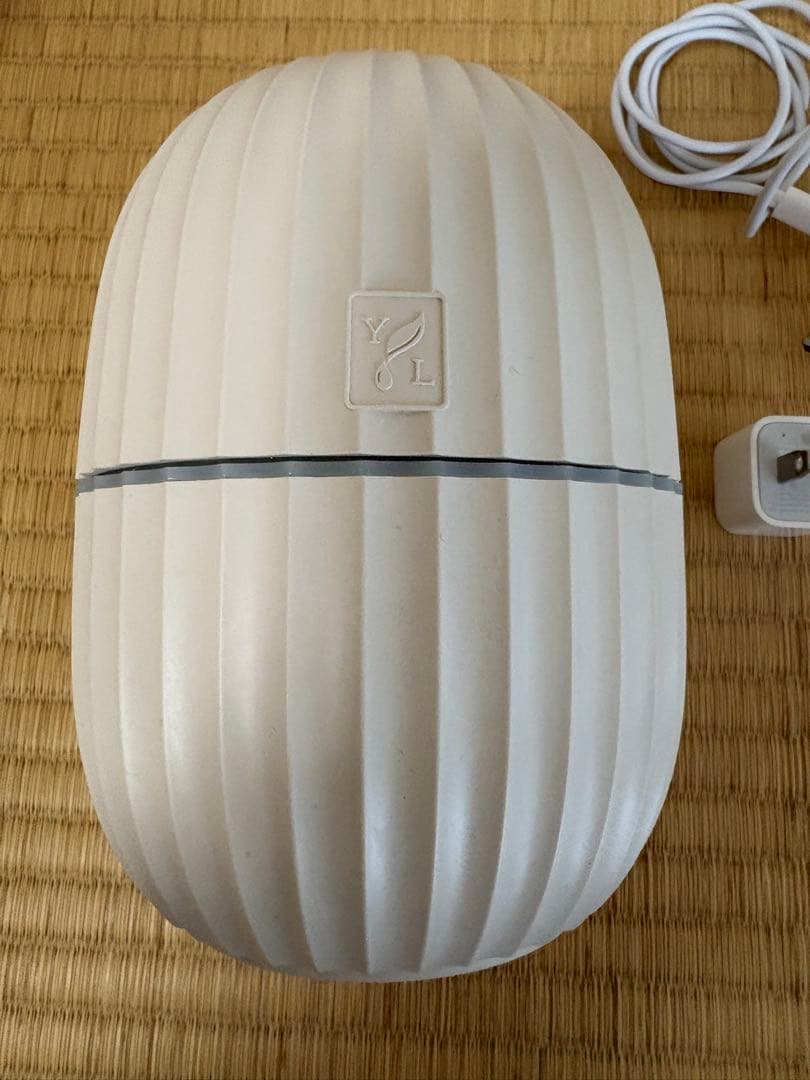 ヤングリビング　カクタス　アロマディフューザー