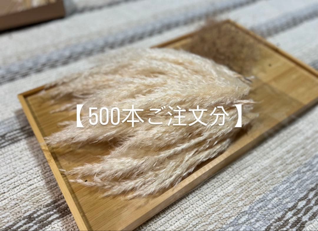 ata様 ご予約分 500本