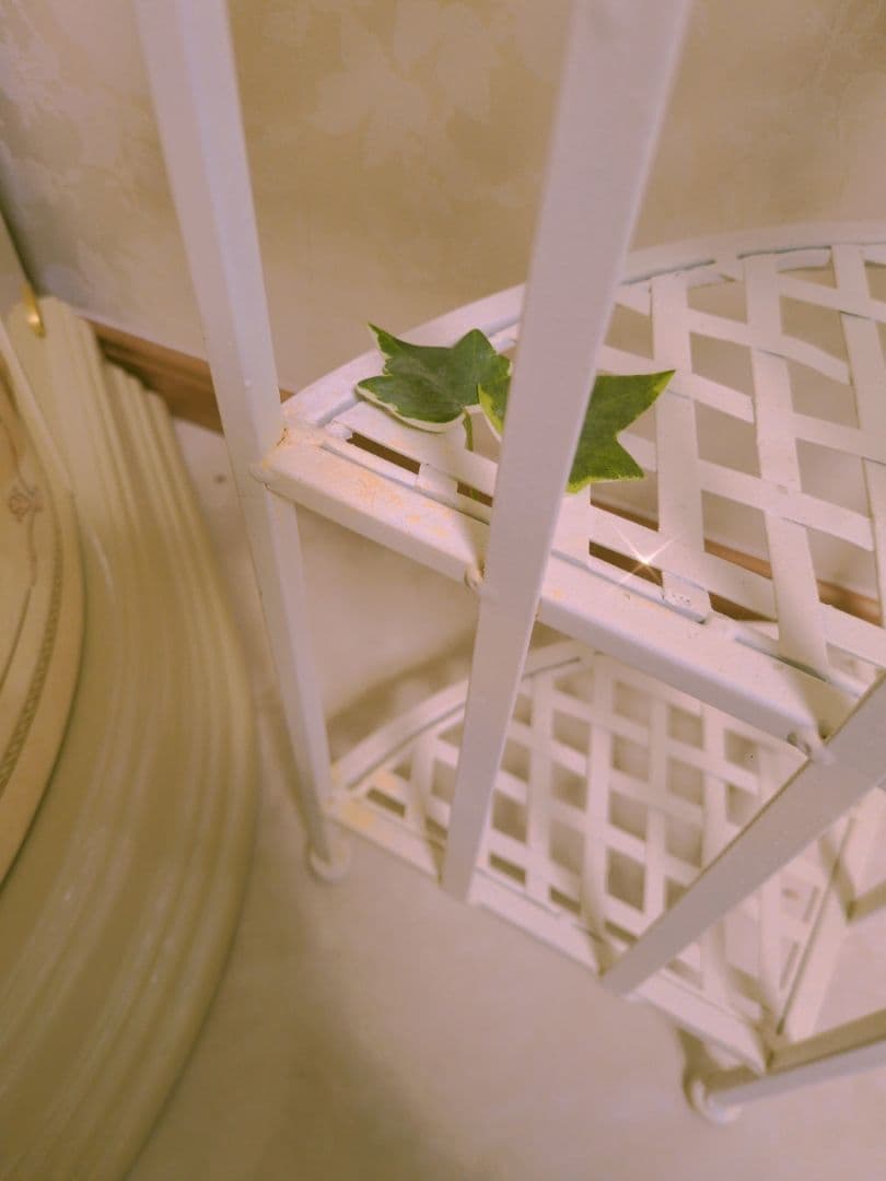 ロココ調棚フラワーシェルフ♡アイアン♡