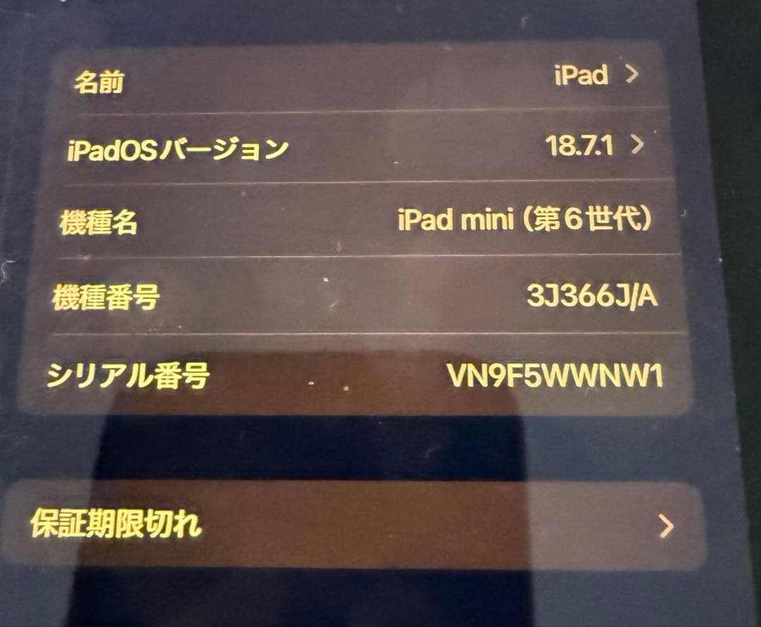 Apple iPad mini (第6世代) ケースペシルセット