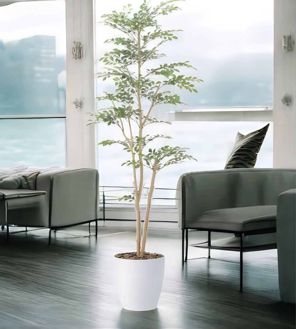 光触媒　人工観葉植物　ウォールグリーン　フェイクグリーン　トネリコ1.8@ad