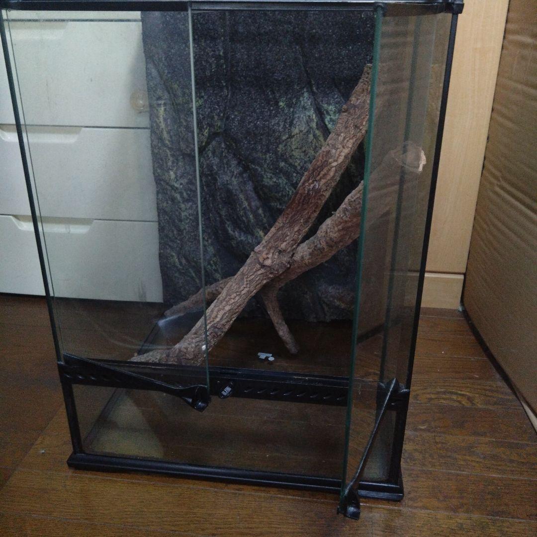 中型ガラス温室・ショーケース