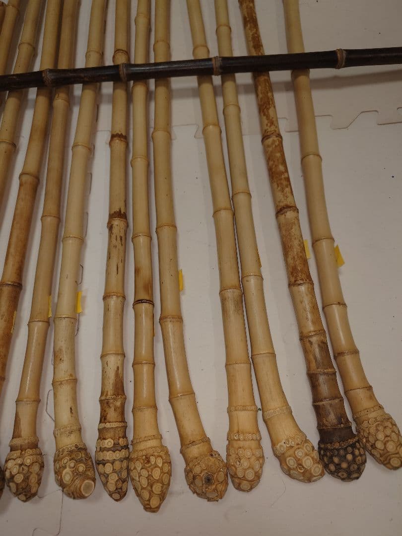 gogo　様　確認ページ❗