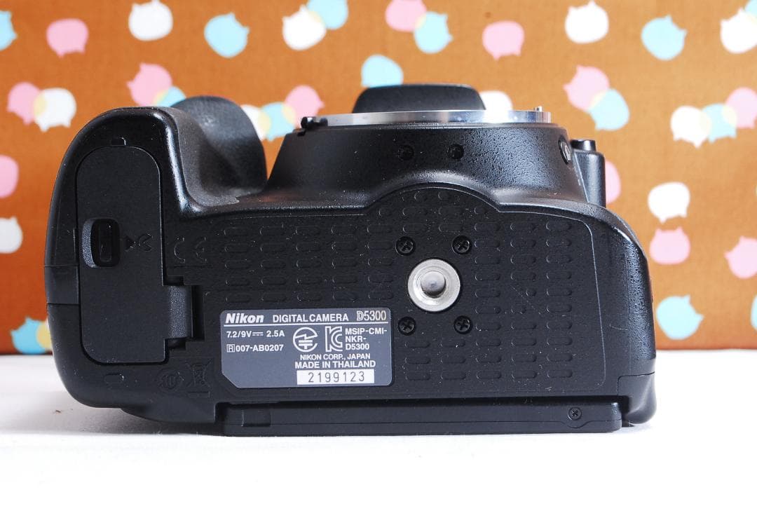 ✨美品✨Wi-Fi搭載機種✨Nikon D5300 ダブルレンズセット