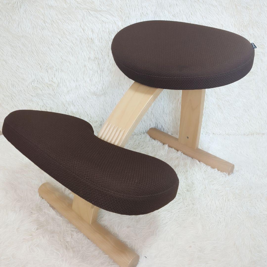 balans Easy バランスイージー 通常フレーム 　オプション付き