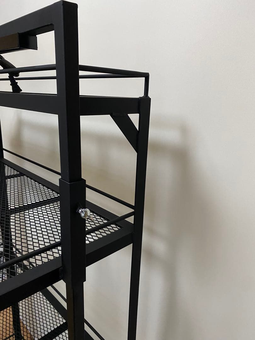 アイアンシェルフ　アイアンラック　植物棚　ボタニカルシェルフ　アガベ　多肉植物