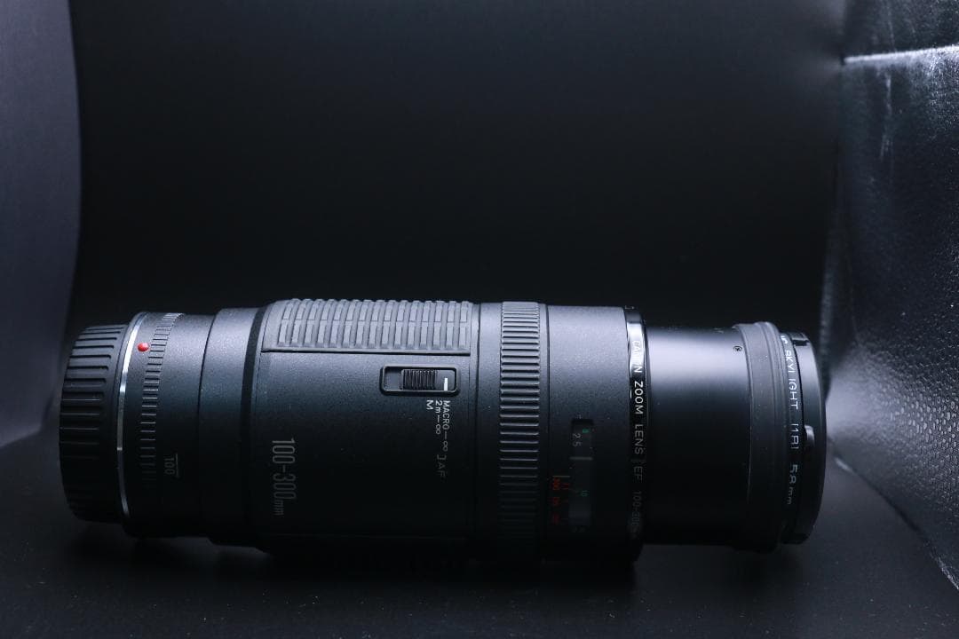 望遠レンズ CANON ZOOM LENS EF 100-300mm F5.6