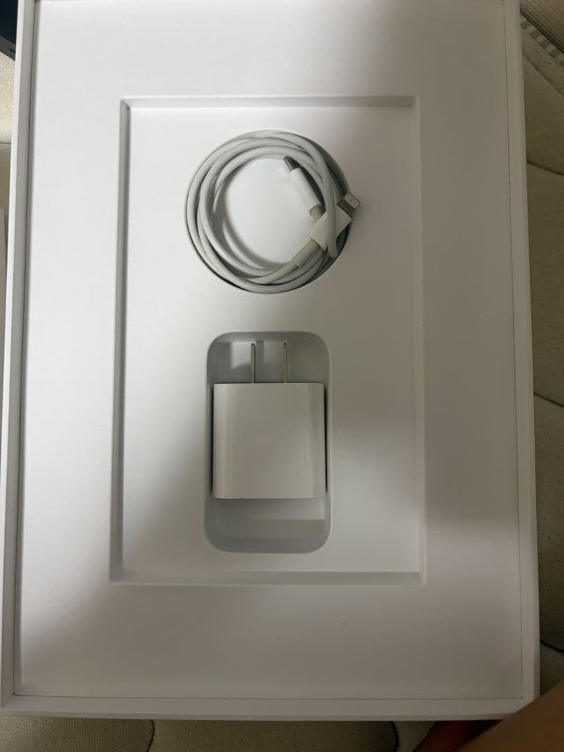 iPad (第8世代) グレー 画面ひび割れジャンク　32GB