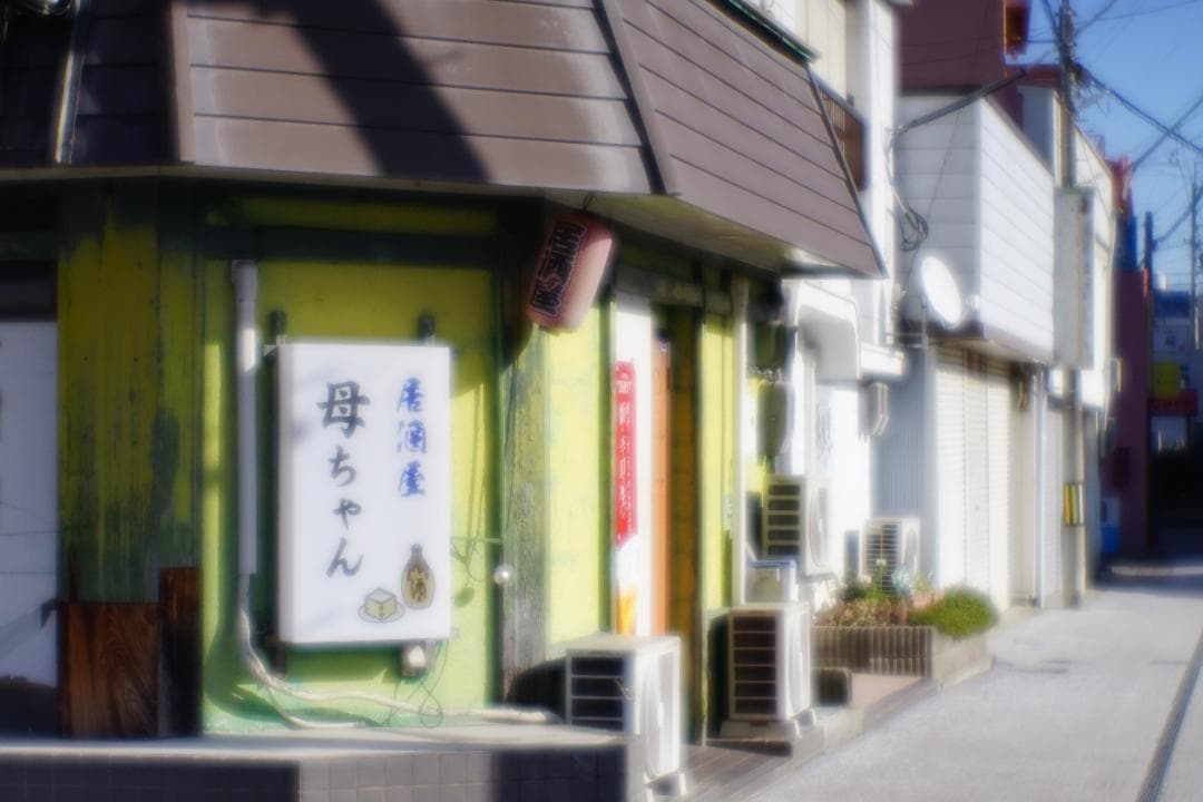 【美品】 KIYOHARA VK70R ソフトフォーカス