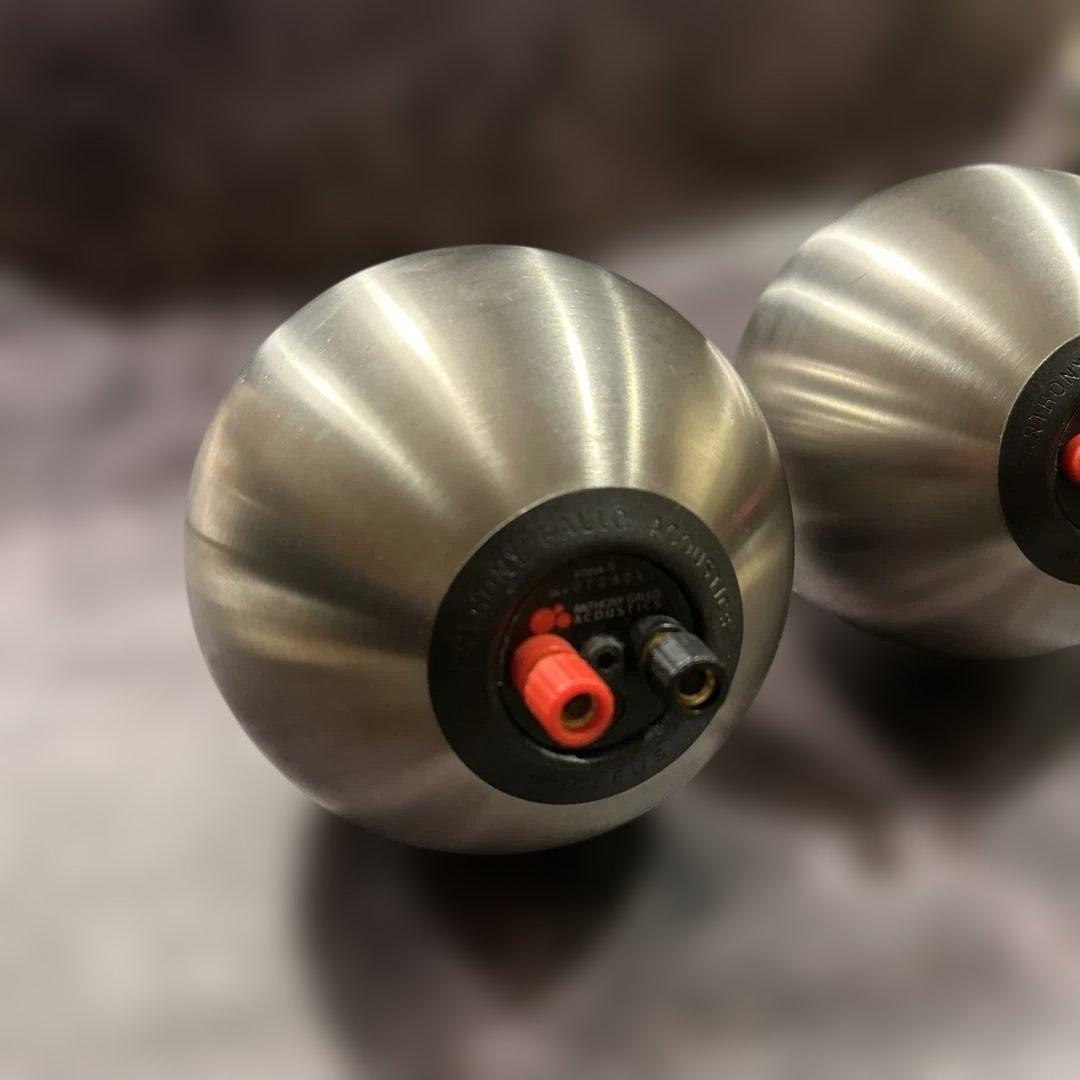 Anthony Gallo A’Diva Ti