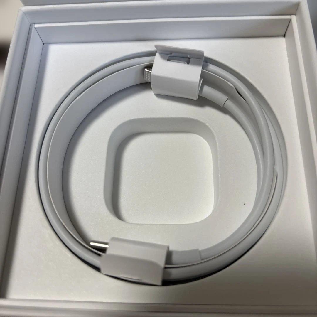 【付属品新品全て有】AirPods Pro 第一世代本体