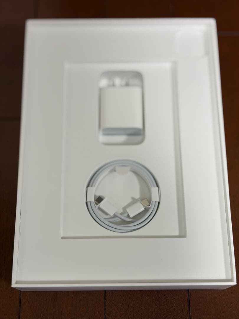 Apple iPad Pro (11インチ) 第2世代 256GB