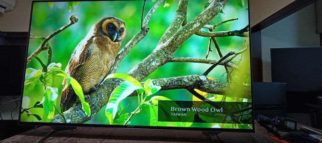 SONY BRAVIA KJ-55X9500H（2020年製）