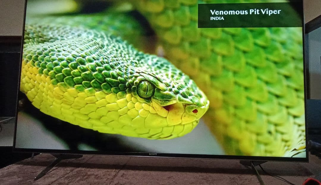 SONY BRAVIA KJ-55X9500H（2020年製）