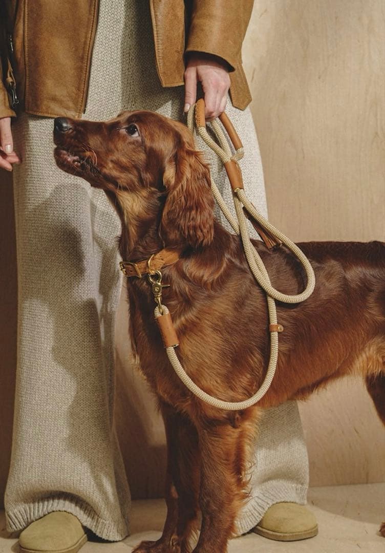 HuntingPony ハンティングポニー　リード幅10mm ピンク