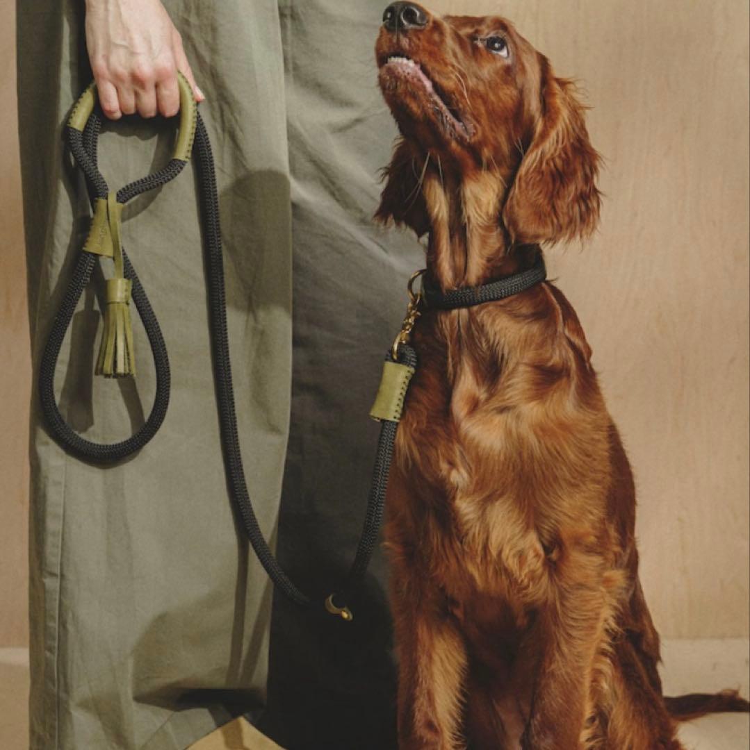 HuntingPony ハンティングポニー　リード幅10mm ピンク