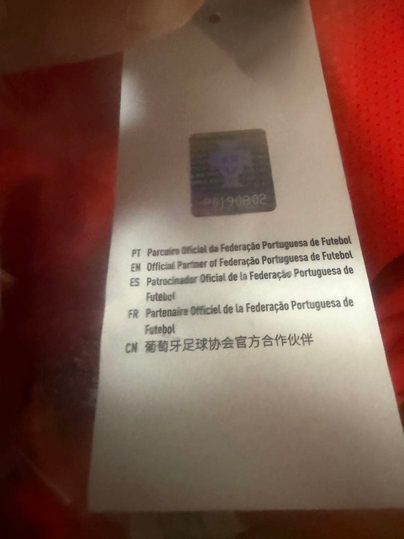 ポルトガル代表 ホーム ロナウド