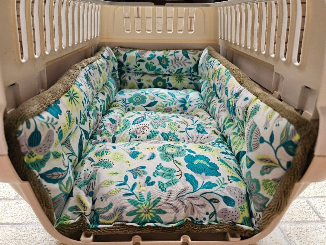 みっぽるページ #2318