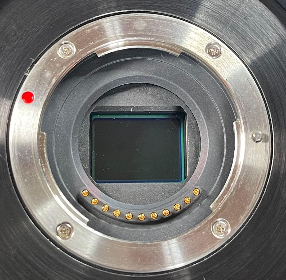 Panasonic AG-AF105 マイクロフォーサーズ 業務用ビデオカメラ