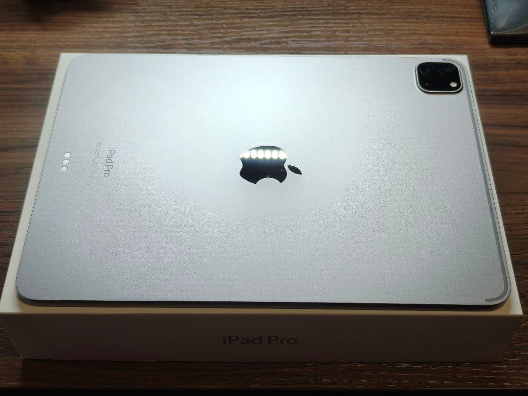 iPad Pro 256GB 本体 中古 +Apple Pencil純正