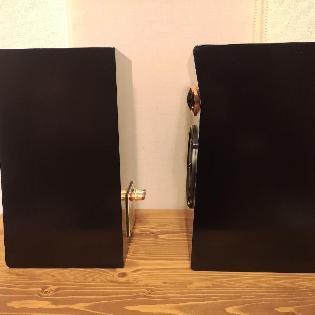 スピーカー　REQST PRO DSW-T1 ペア　レクストプロ