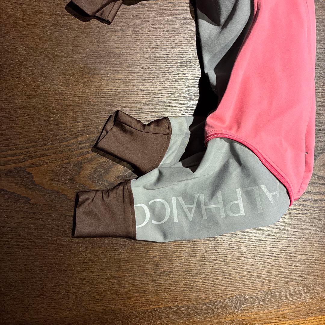 アルファアイコン　Ｌサイズ