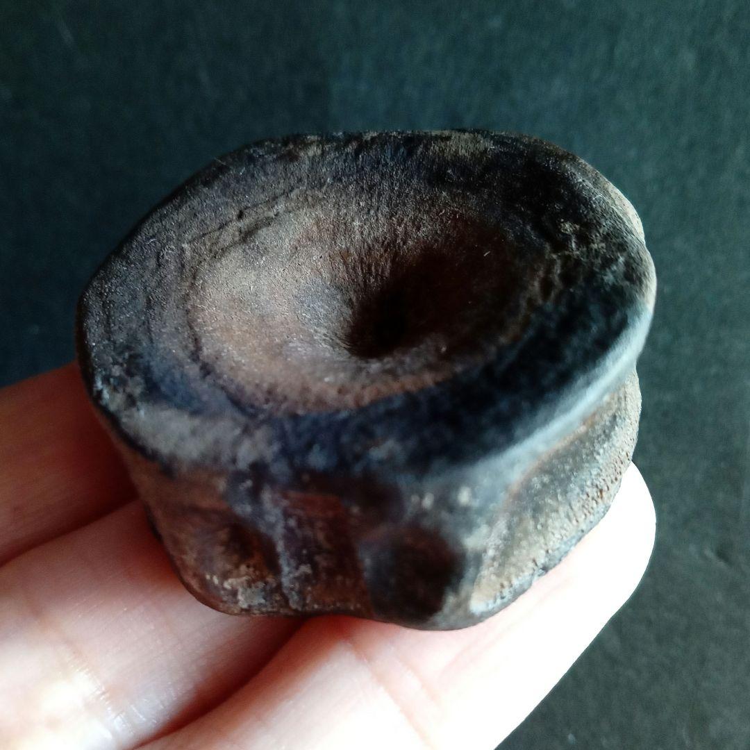 ジュラ紀　魚竜　イクチオサウルス　椎骨化石　大型特大　希少標本　英国産