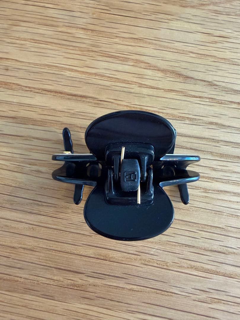 ALEXANDRE DE PARIS LISERAI S クリップ