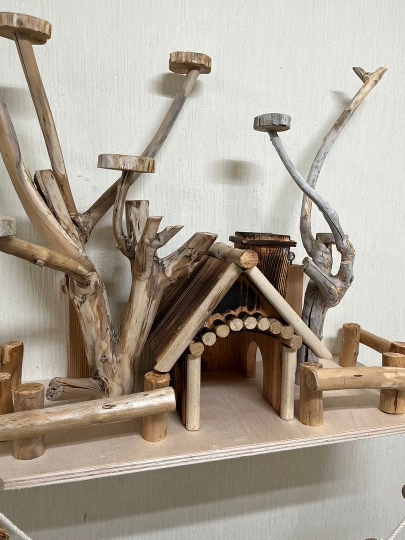 渡邊鳥インコ止まり木 流木バードアスレチック 壁掛けタイプバードジム壁付け