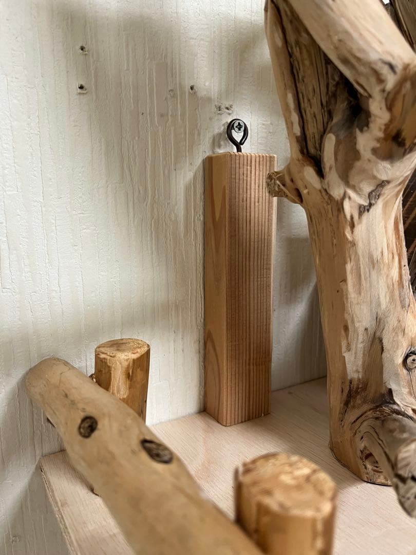 渡邊鳥インコ止まり木 流木バードアスレチック 壁掛けタイプバードジム壁付け